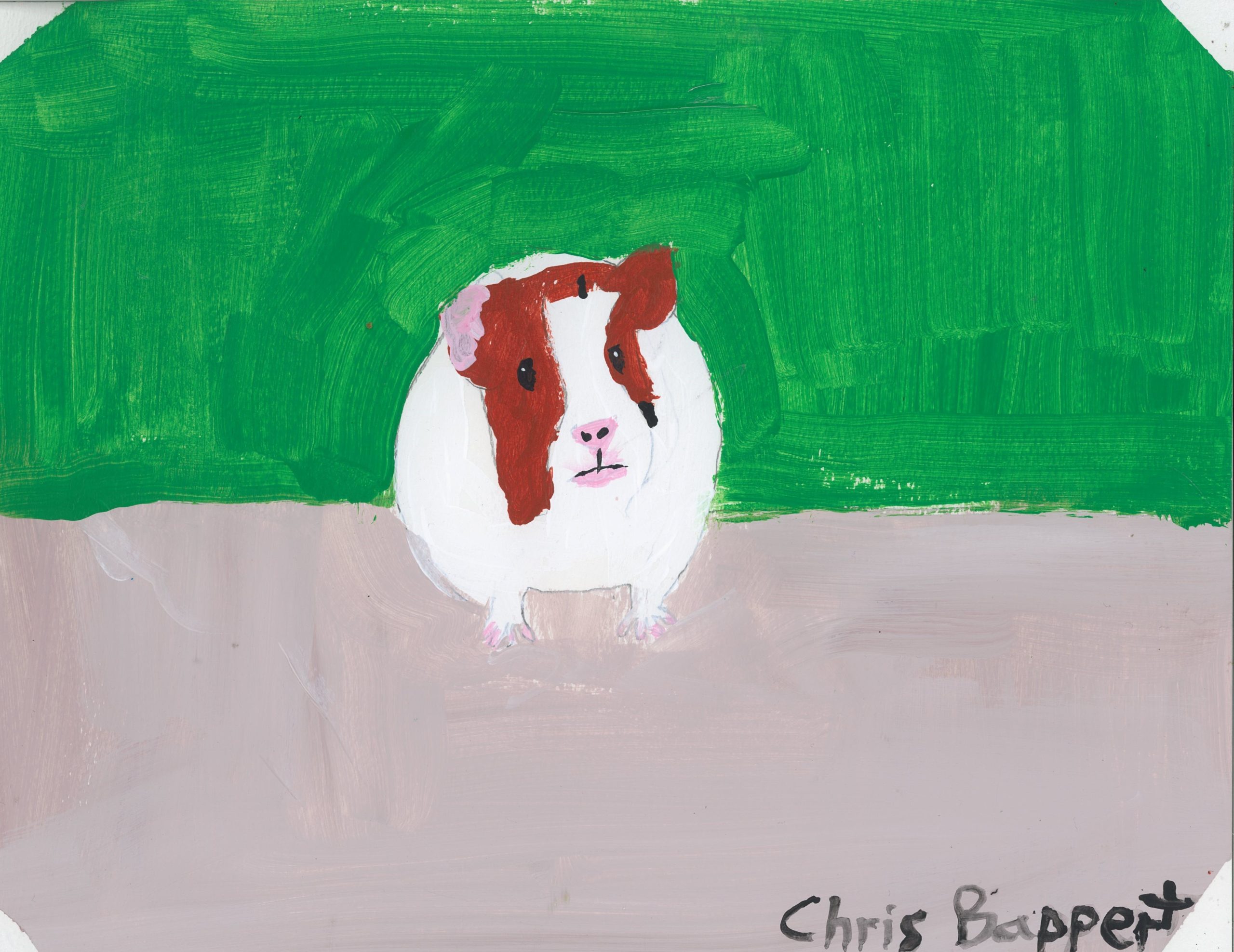 Chris Bappert artist, image of Guinea pig
