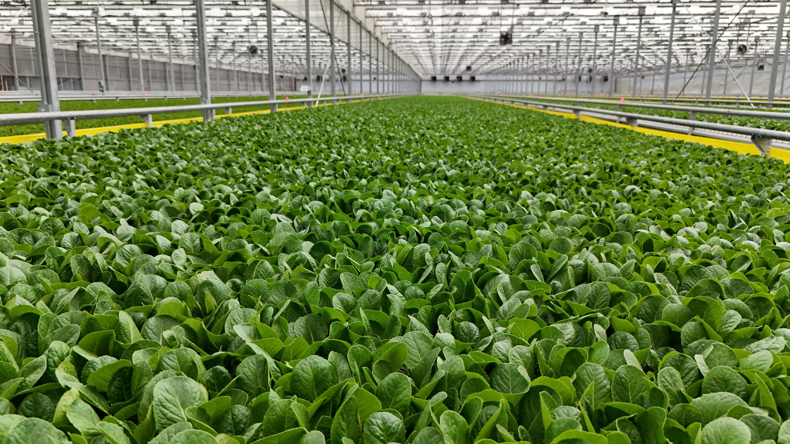 Revolution Farms Growing Facility