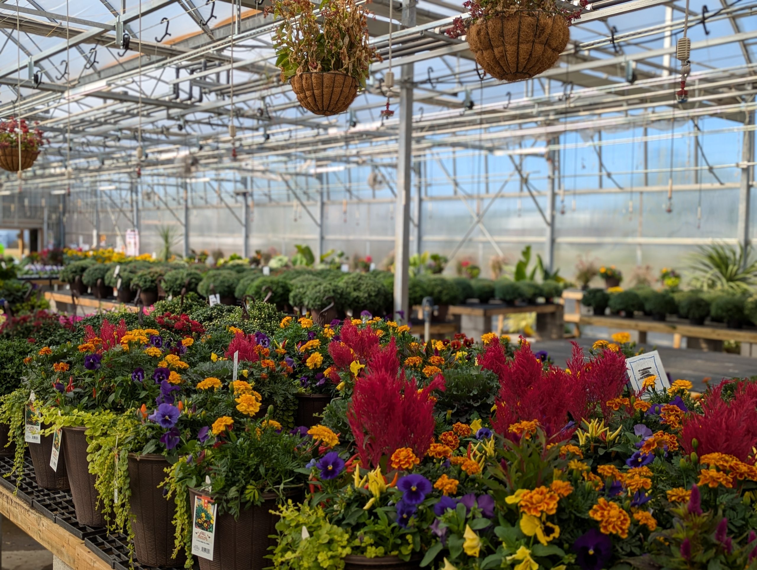 Revolution Farms Lansing Location Farmstand Greenhouse